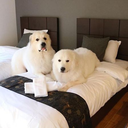 Hotel Miyajima Shiro Hatsukaichi Zewnętrze zdjęcie