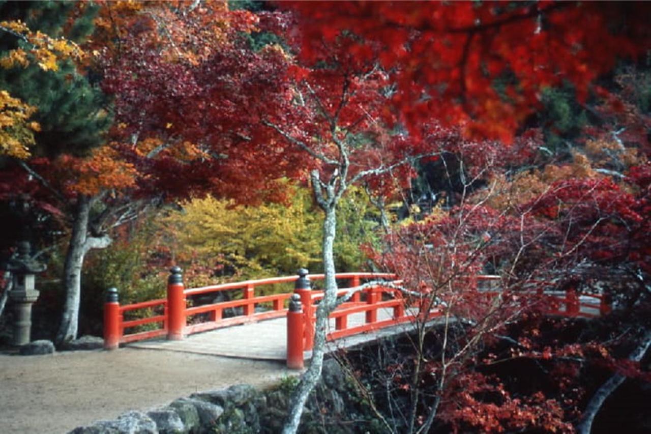 Hotel Miyajima Shiro Hatsukaichi Zewnętrze zdjęcie